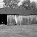 The Old Shed, Commerce, Oklahoma