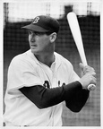 9. Ted Williams